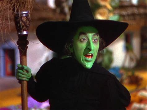 Nasty witch costume Wizard of Oz